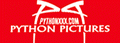 See All Python Pictures's VOD Movies